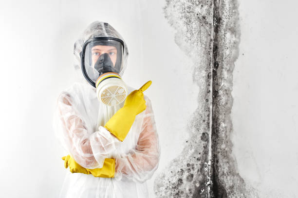 Environmental Consulting for Mold Prevention in Northlakes, NC